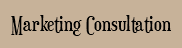 &nbsp;Marketing Consultation